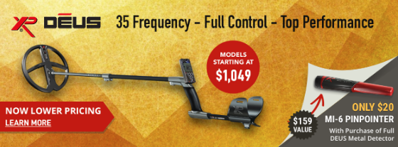 XP Deus Metal Detector